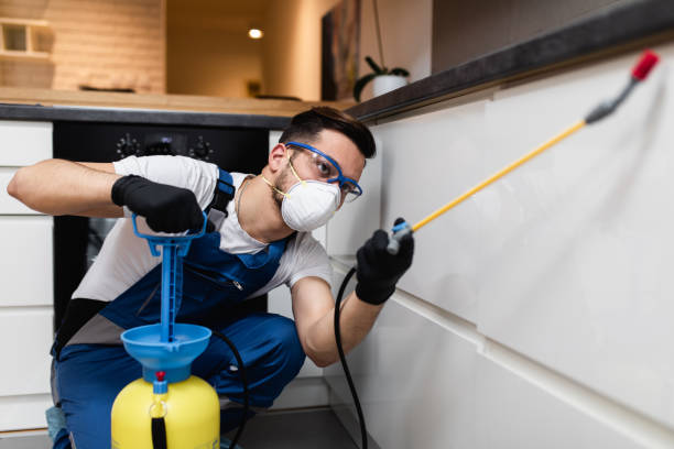Best Pest Removal Services  in Vails Gate, NY