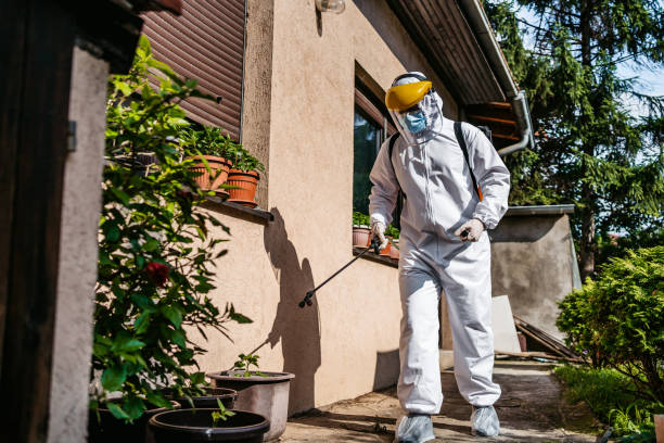 Best Flea Control Services  in Vails Gate, NY