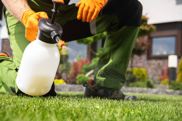 Best Emergency Pest Control  in Vails Gate, NY