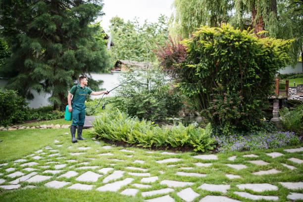 Best Wasp Removal Services  in Vails Gate, NY