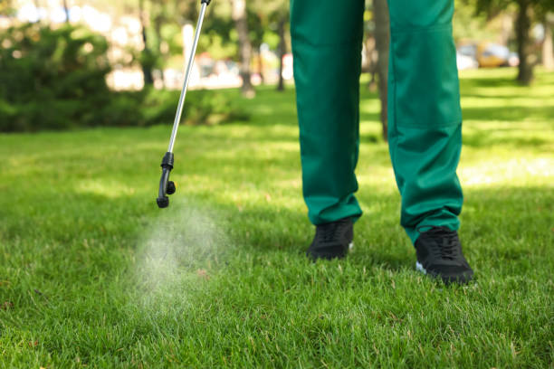 Best Termite Control Services  in Vails Gate, NY