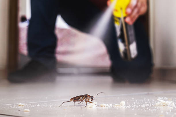 Best Pest Prevention Services  in Vails Gate, NY