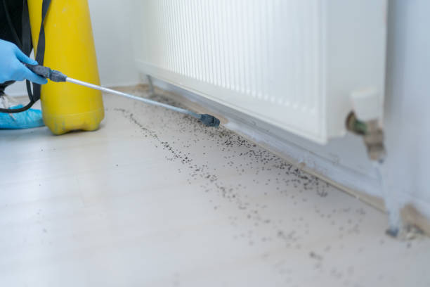 Best Exterminator Services  in Vails Gate, NY